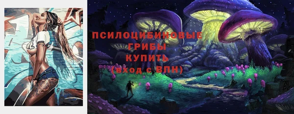 твердый Кукмор