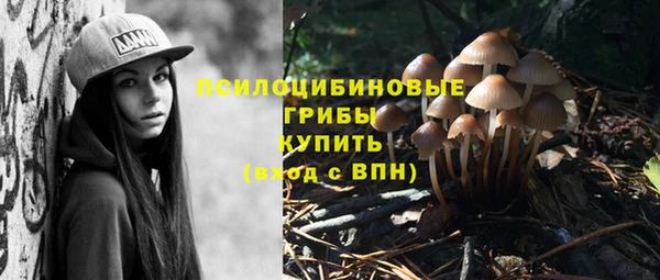 твердый Кукмор