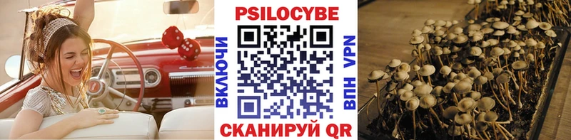 сколько стоит  Альметьевск  мега онион  Псилоцибиновые грибы Cubensis 